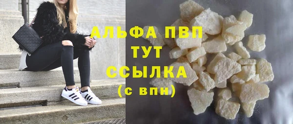 СК Алзамай