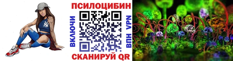 Галлюциногенные грибы Psilocybe  Махачкала 